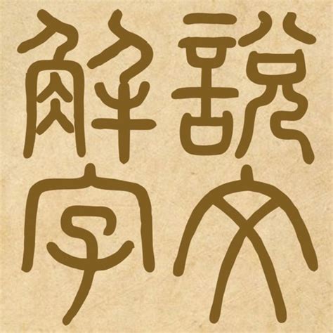 妍說文解字|說文解字「妍」